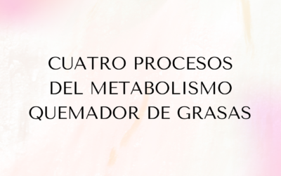 Cuatro Procesos del Metabolismo Quemador de Grasa